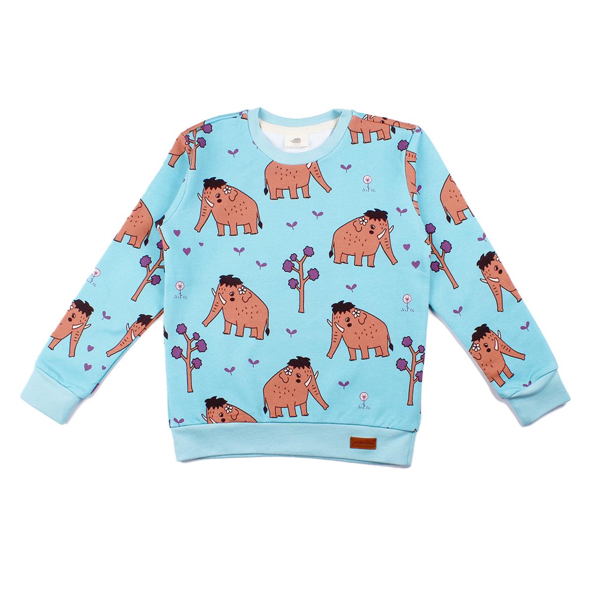 Pamuklu kazak sweatshirt (organik)