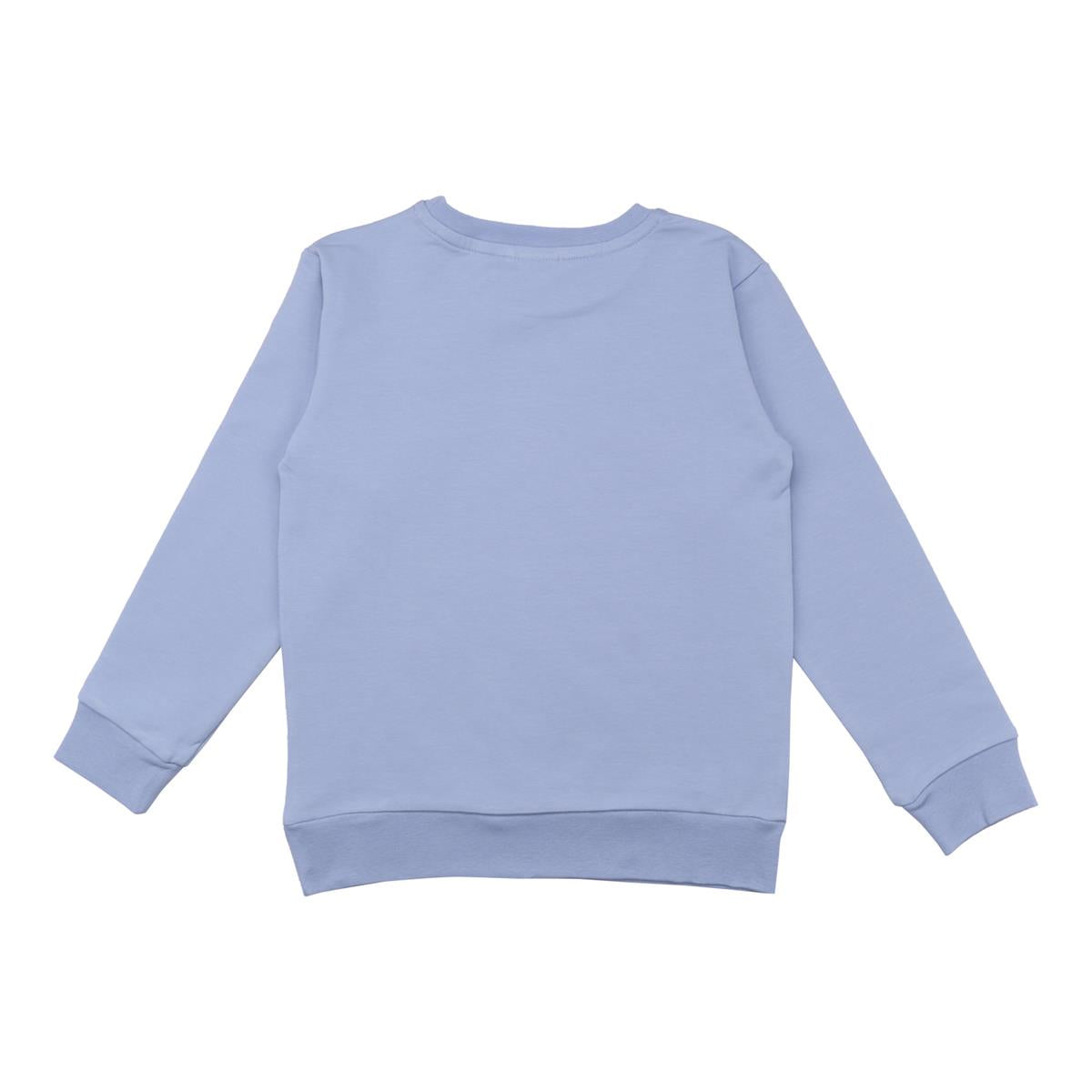 Pullover sweatshirt gjord av bomull (ekologisk)