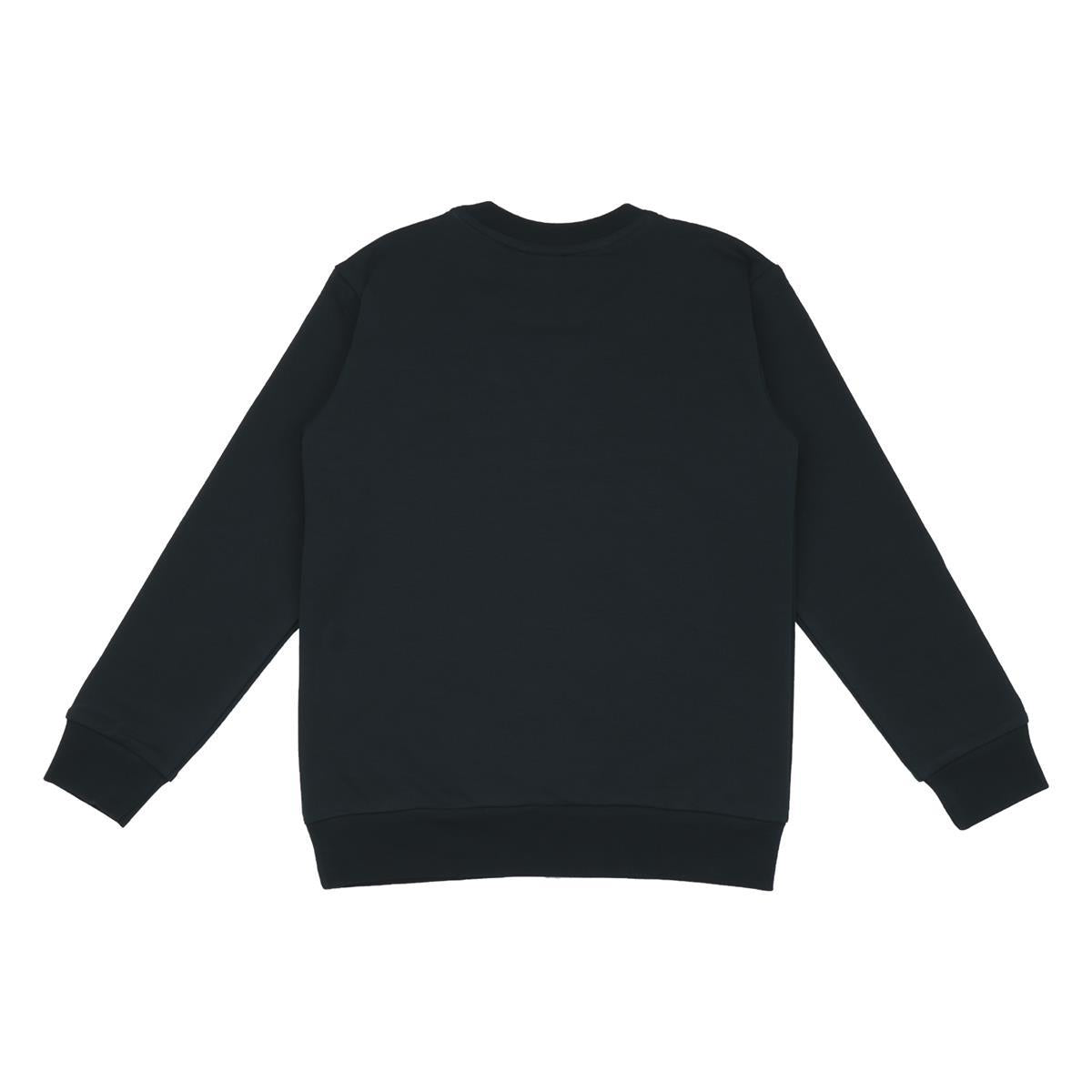 Pullover sweatshirt van katoen (biologisch)