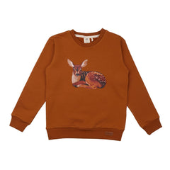 Pullover sweatshirt van katoen (biologisch)