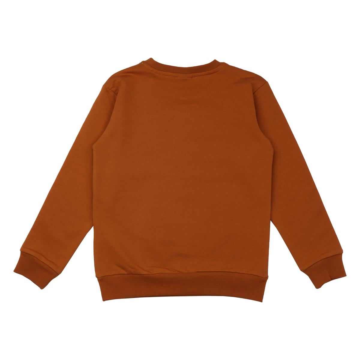 Pullover sweatshirt made of cotton (organic)