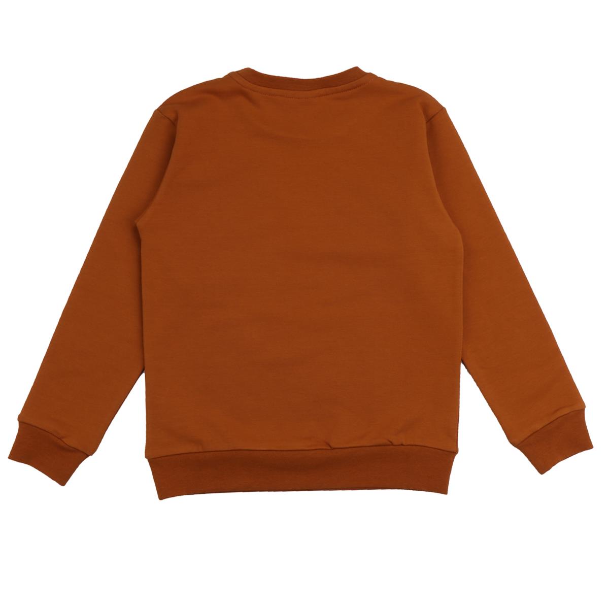 Pullover sweatshirt made of cotton (organic)