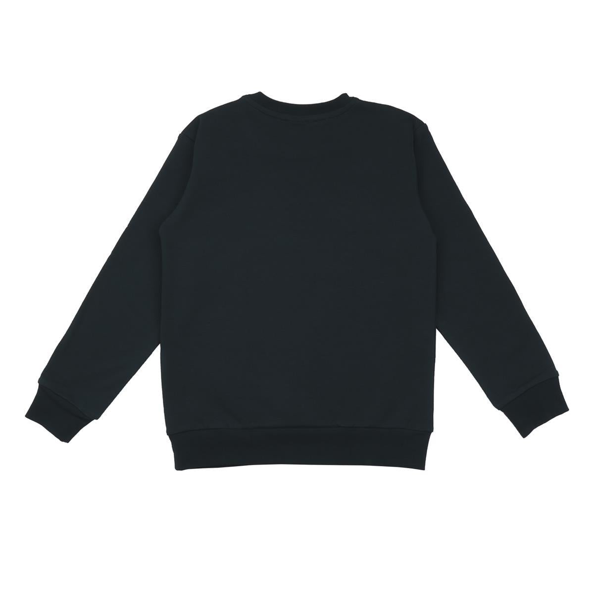 Pullover sweatshirt made of cotton (organic)