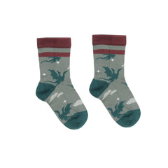 2 pairs of cotton socks (organic)