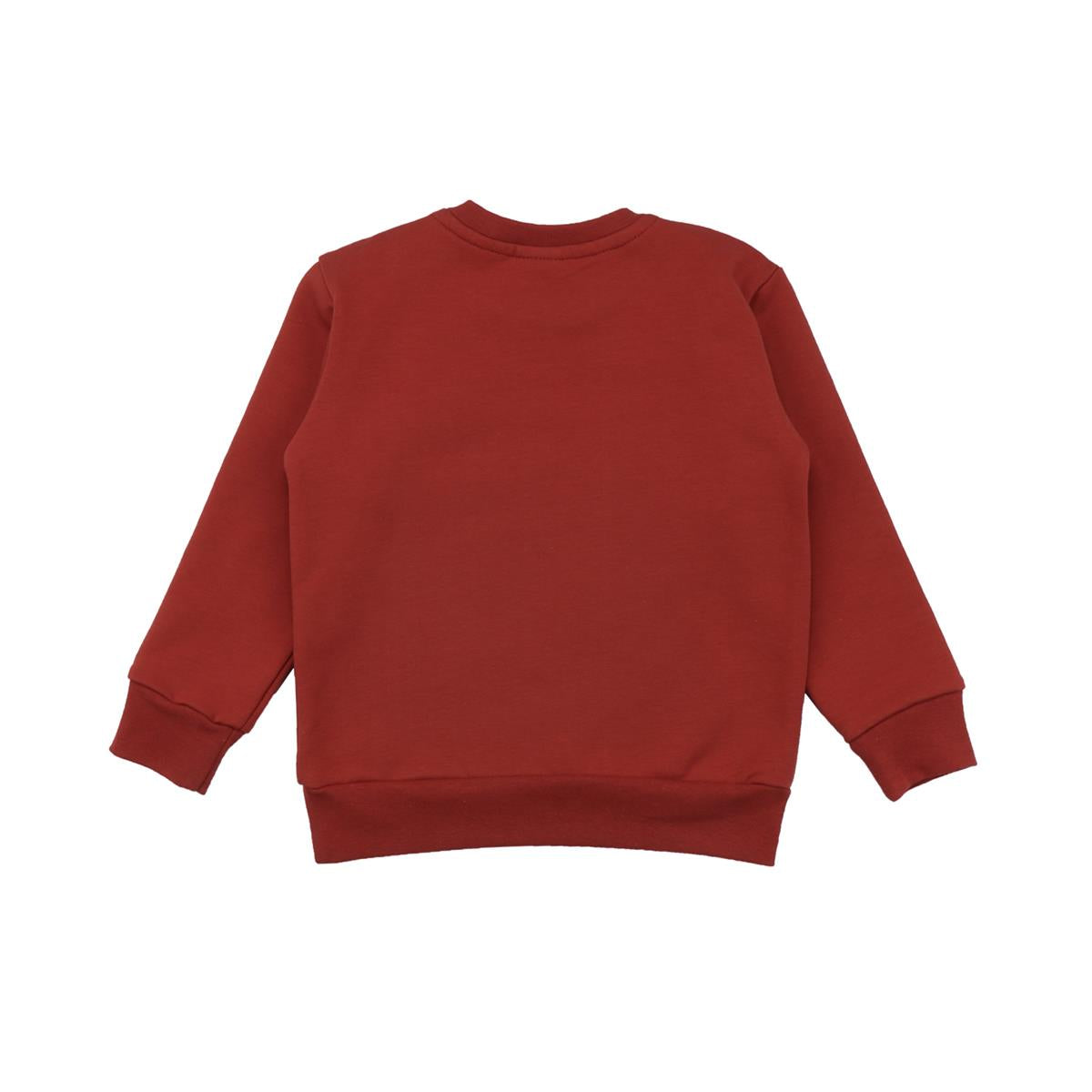 Pullover sweatshirt made of cotton (organic)