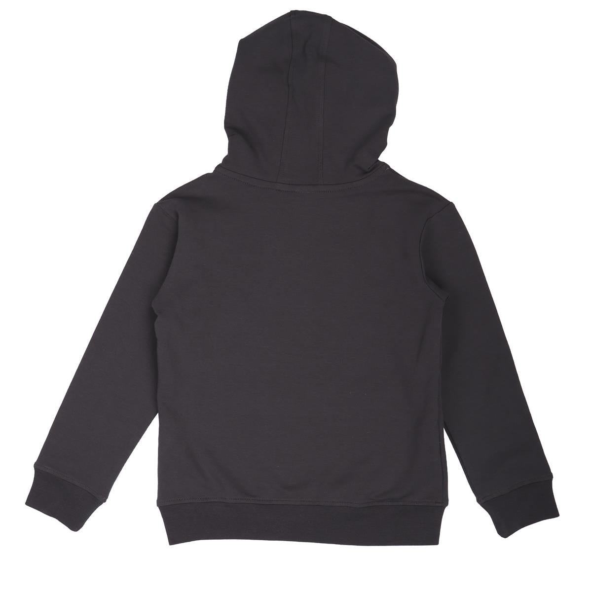 Pullover sweatshirt van katoen (biologisch)