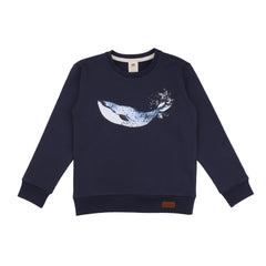 Pullover sweatshirt van katoen (biologisch)