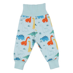 Baby Dinosaurs - Cotton (Organic)