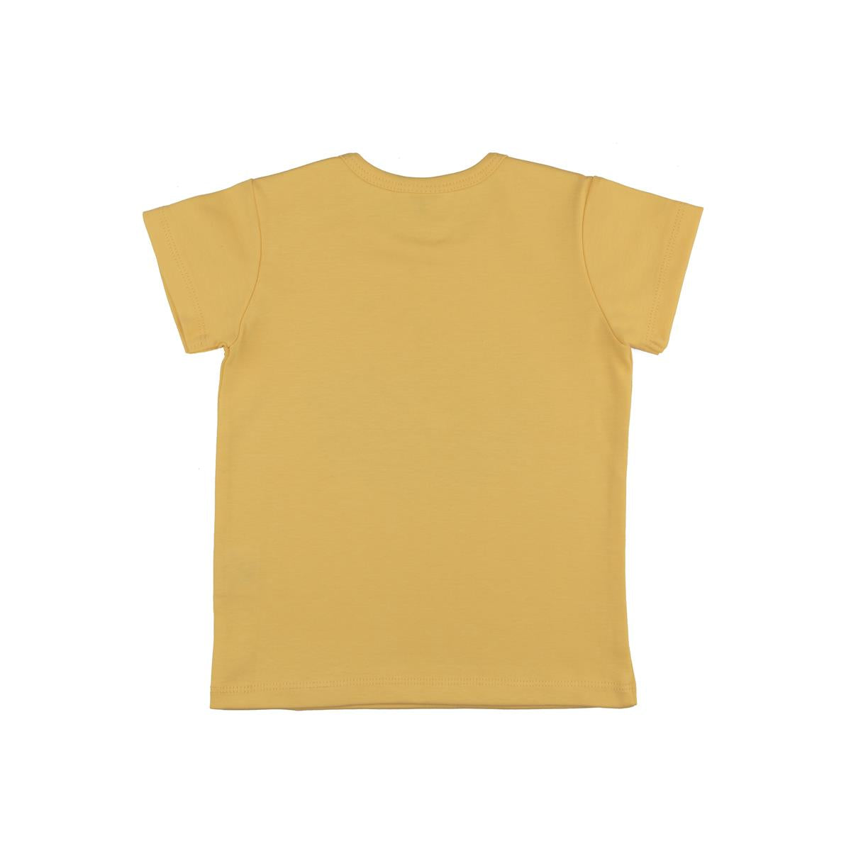 Cotton T-shirt (organic)