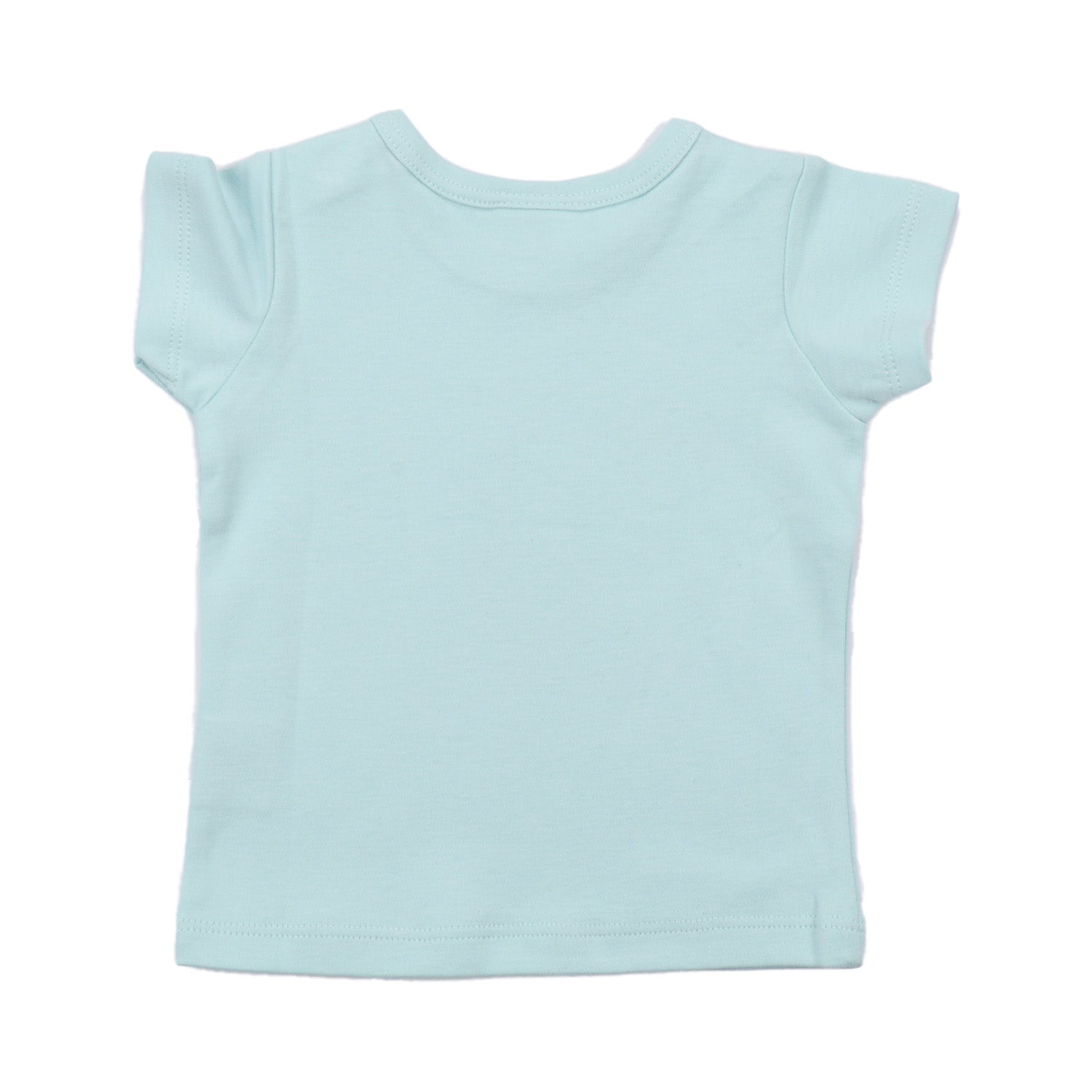 Cotton T-shirt (organic)