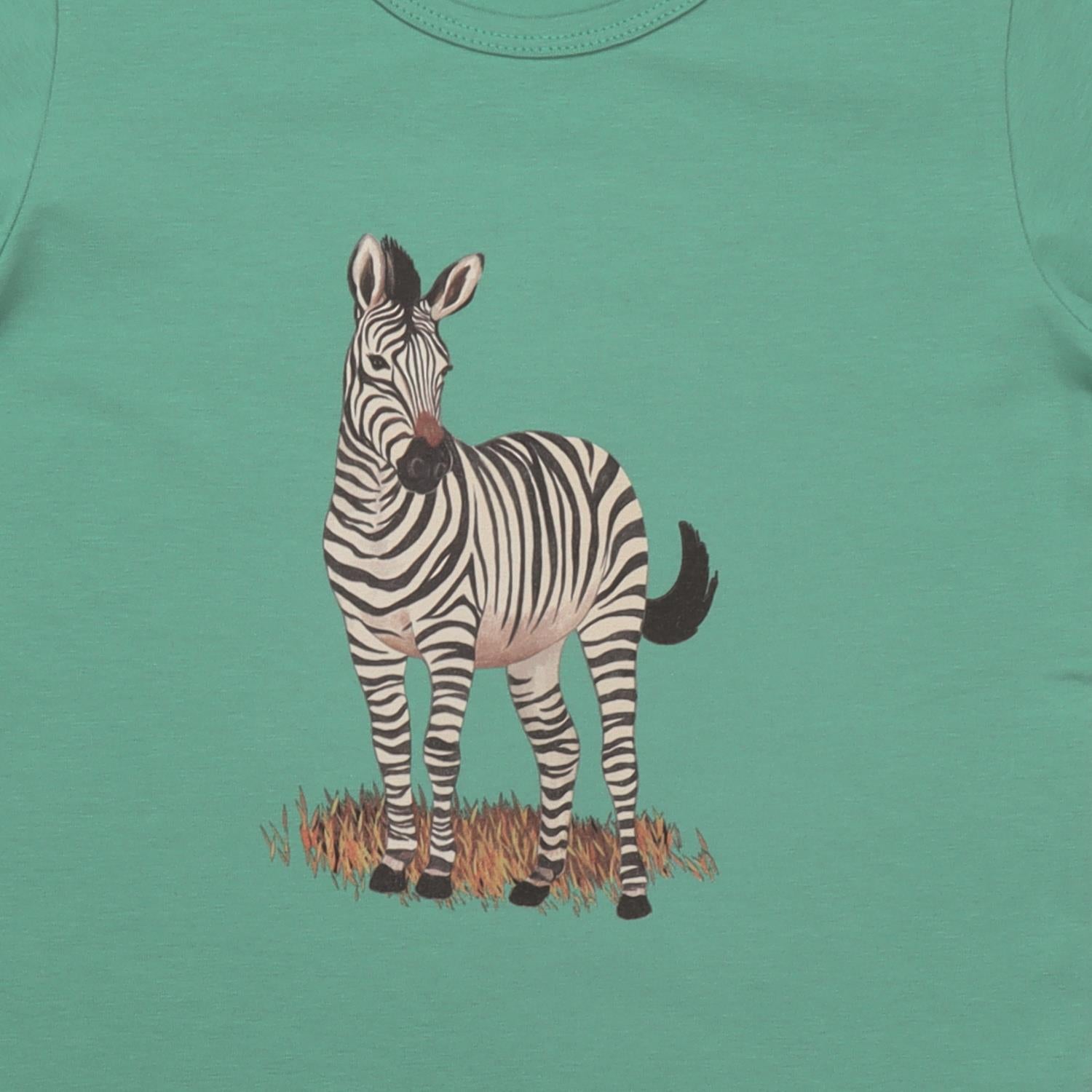 La savane africaine - T-Shirt