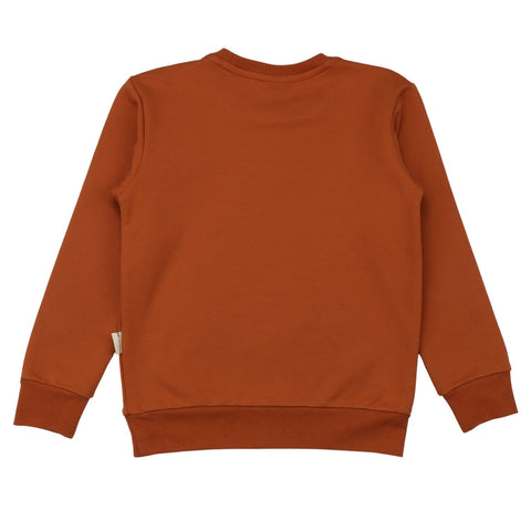 Brown-Sweatshirt