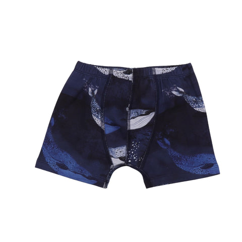Blue Whales-Boxer