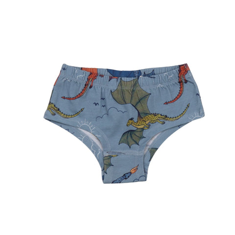 Colorful Dragon-Brief