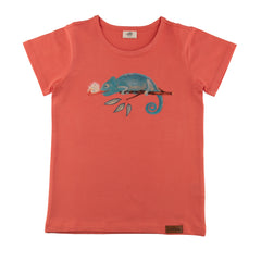 Cotton T-shirt (organic)