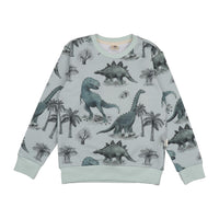 Dinosaurland sweatshirt