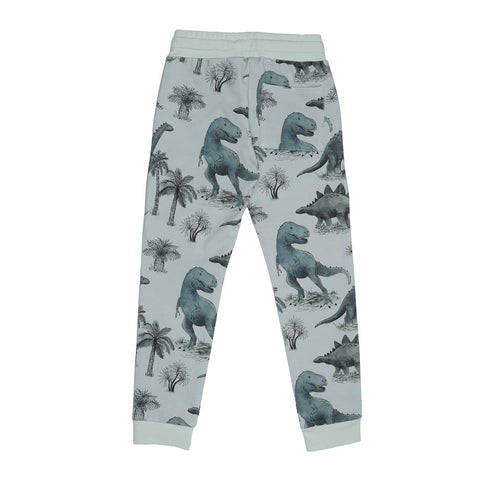 Dinosaurland-Jogger