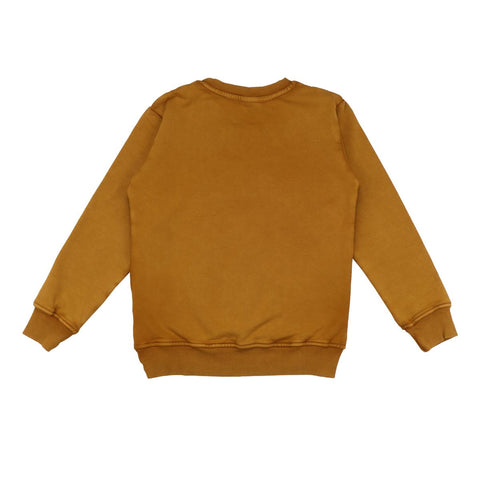 Pullover-Sweatshirt aus Jeans (baumwolle bio)