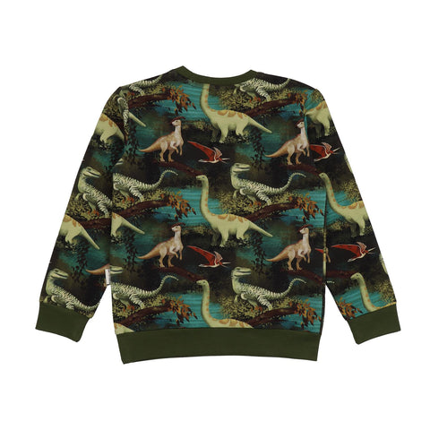 Dinasour Jungle-Sweatshirt
