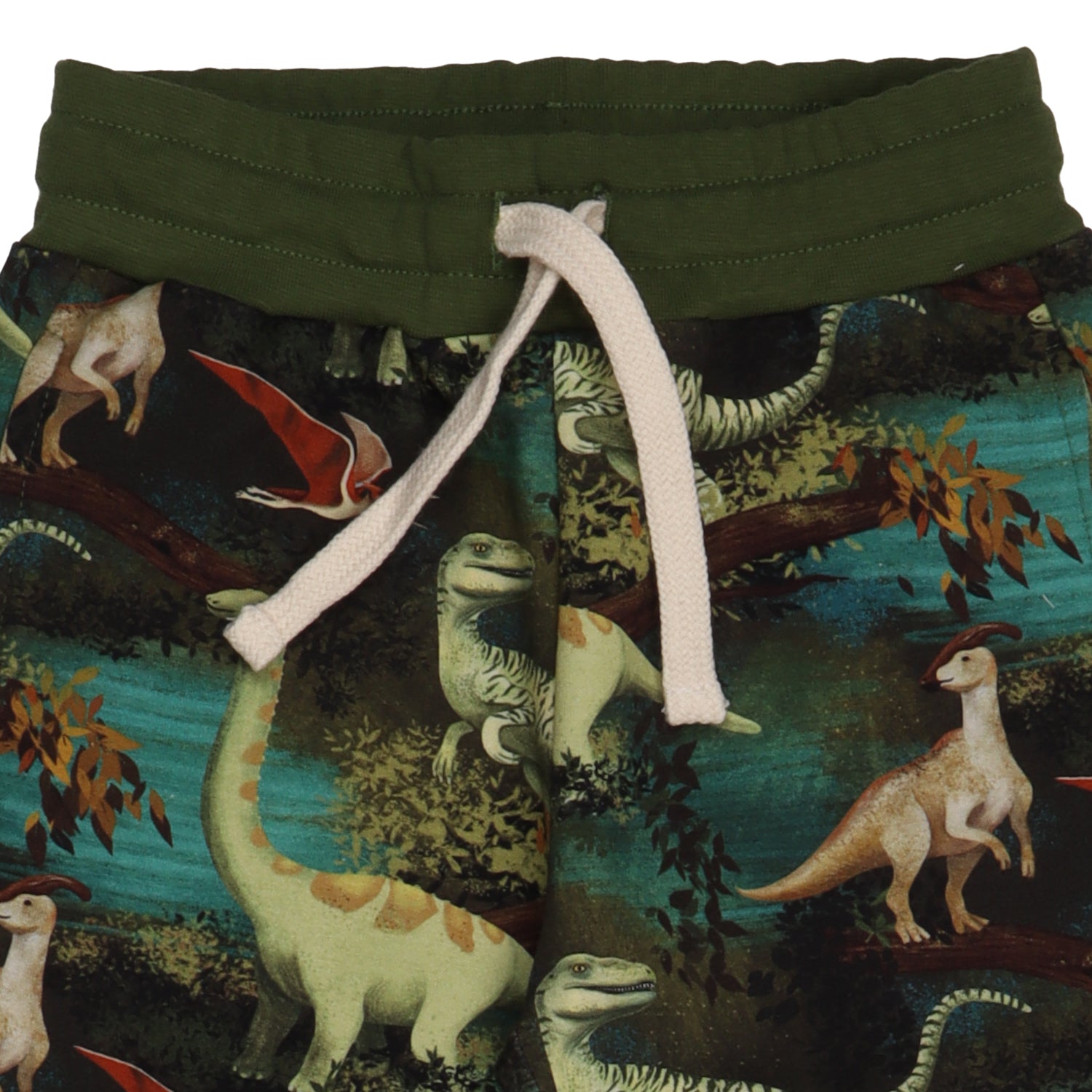 Dinasour Jungle-Jogger