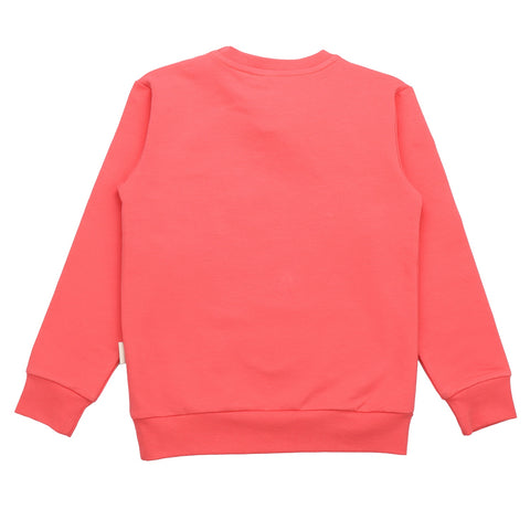 Hummingbirds Around Flowers-Sweatshirt