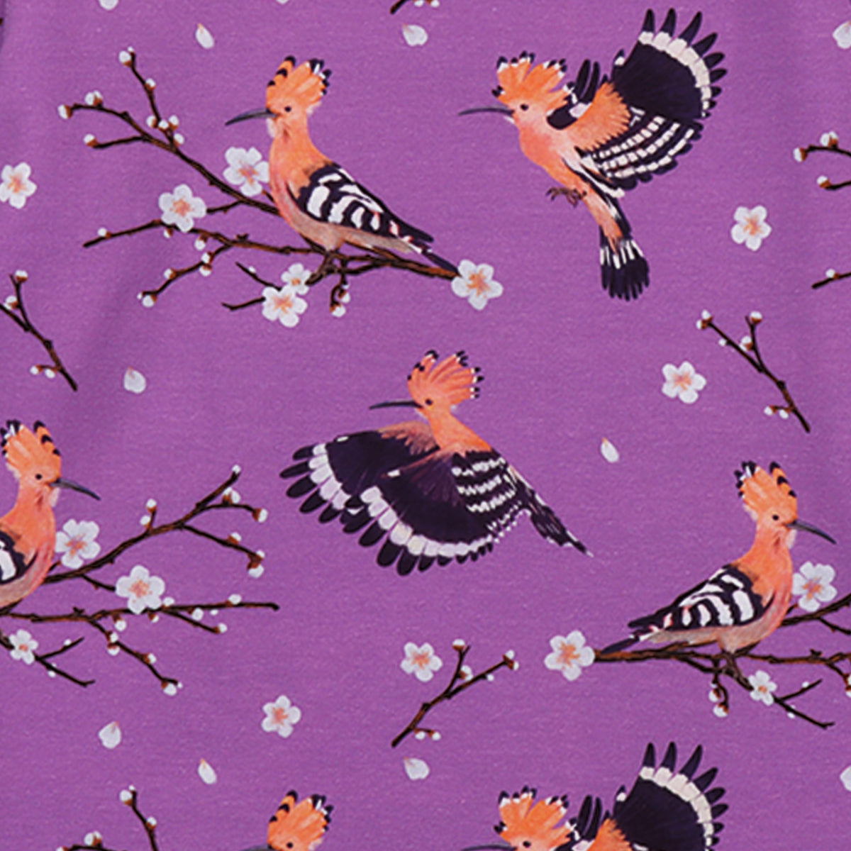 Happy Hoopoes-Shirt