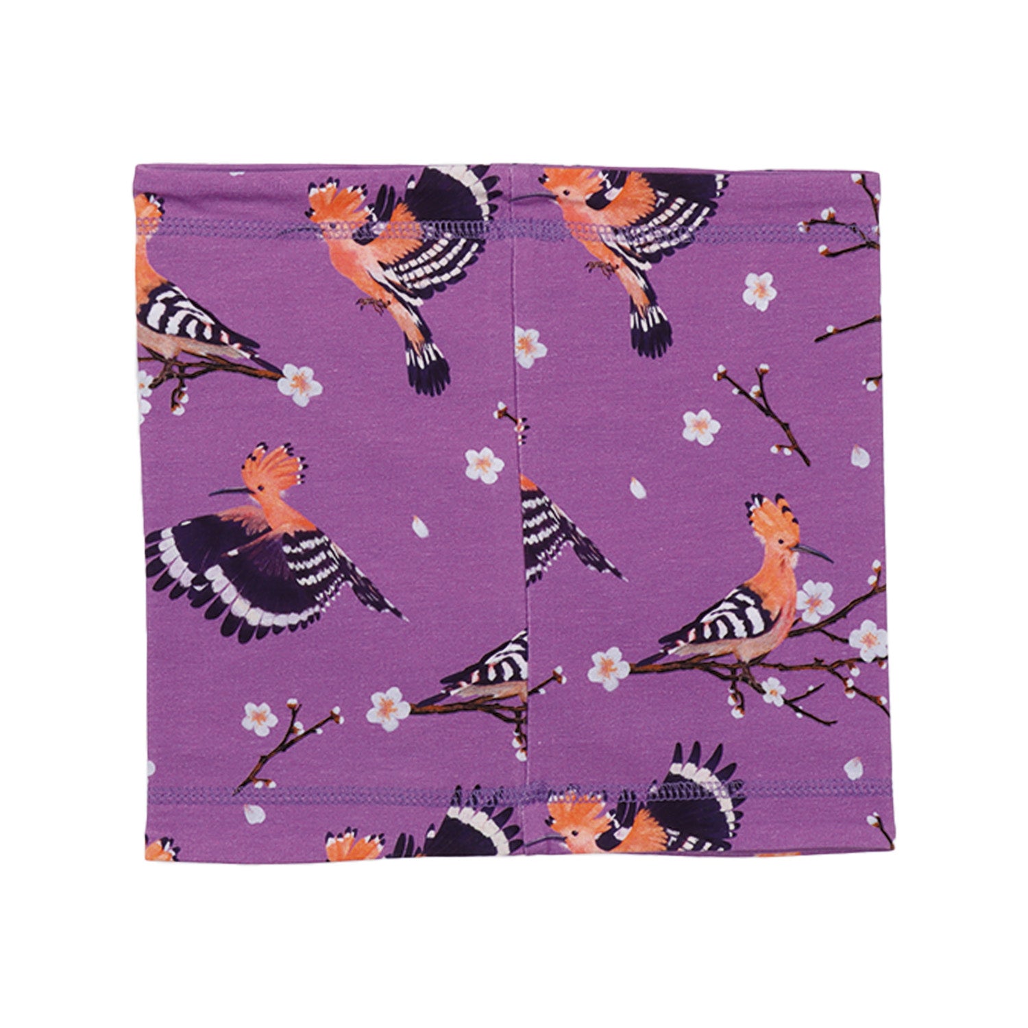 Happy Hoopoes-Loop