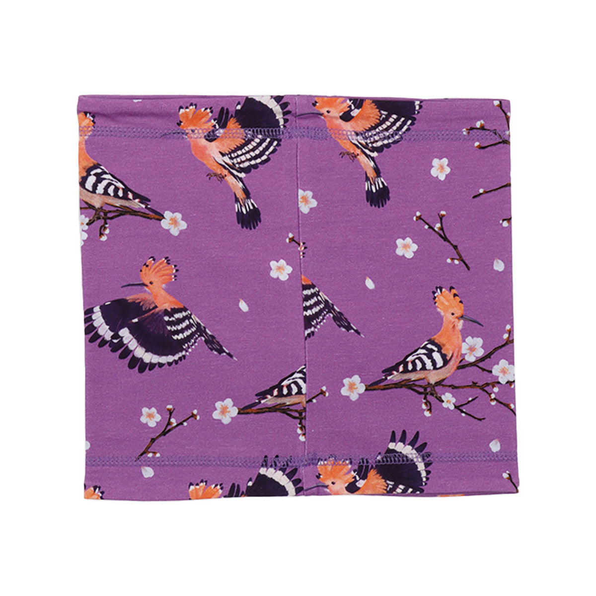 Happy Hoopoes-Loop