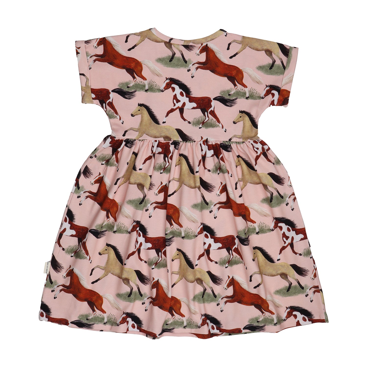 The Horses Dress