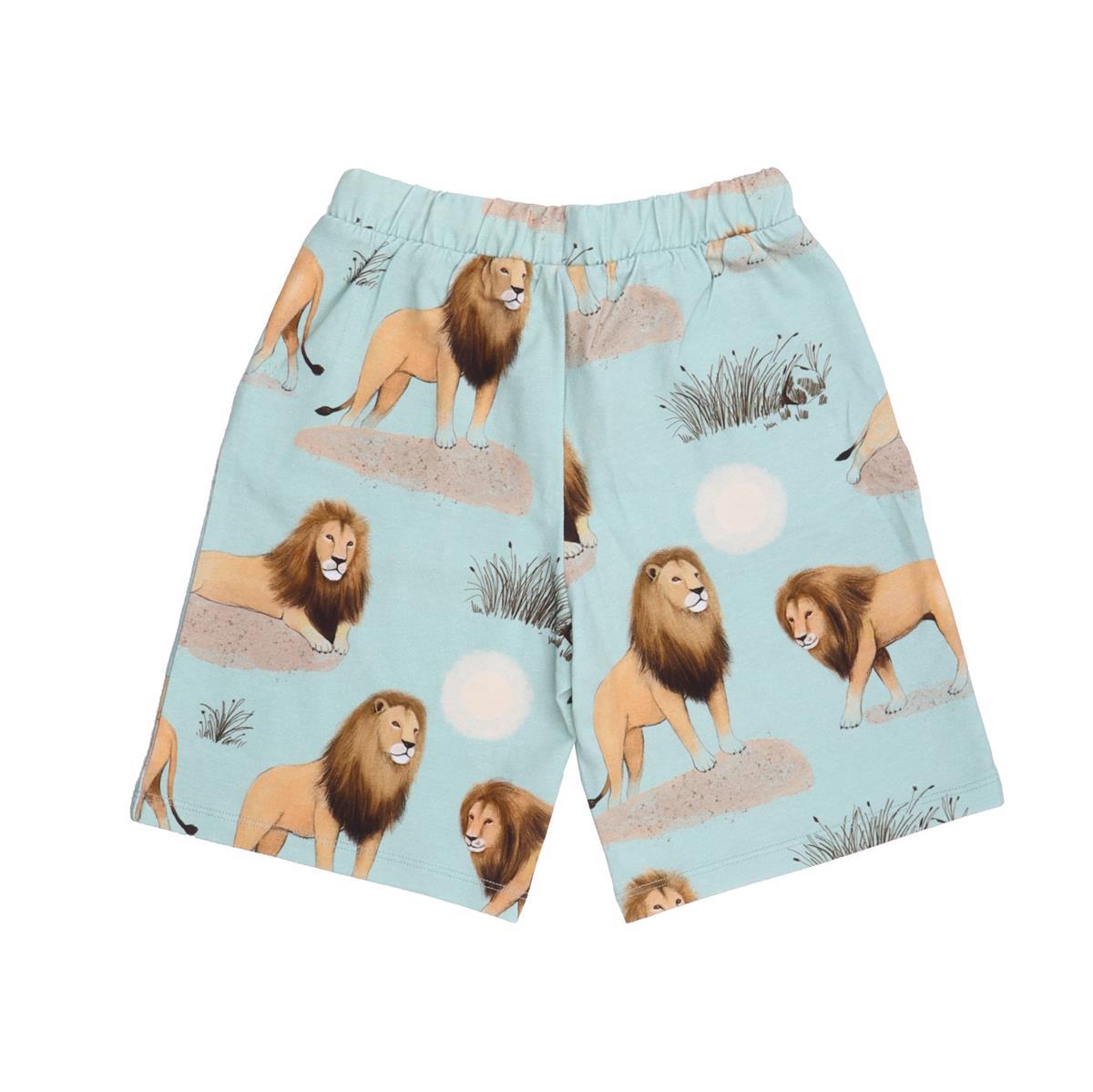 Shorts de algodón (orgánico)