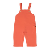 لانجوستين - دنغري