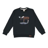 Pullover sweatshirt made of cotton (organic)