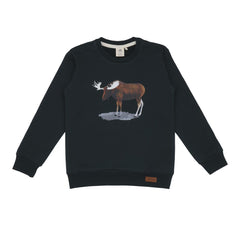 Pullover sweatshirt made of cotton (organic)