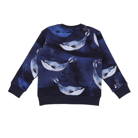 Pullover-Sweatshirt aus Baumwolle (Bio)