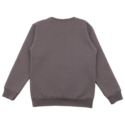 Anthracite/Royal Lynxes
