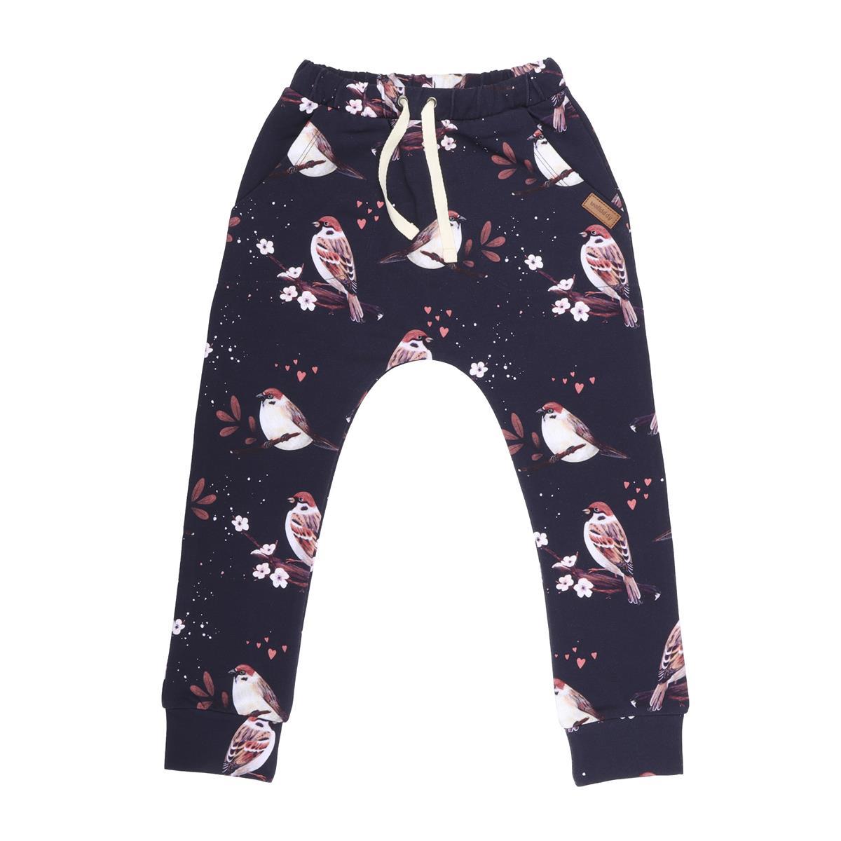 Pantaloni da jogging in cotone (organico)