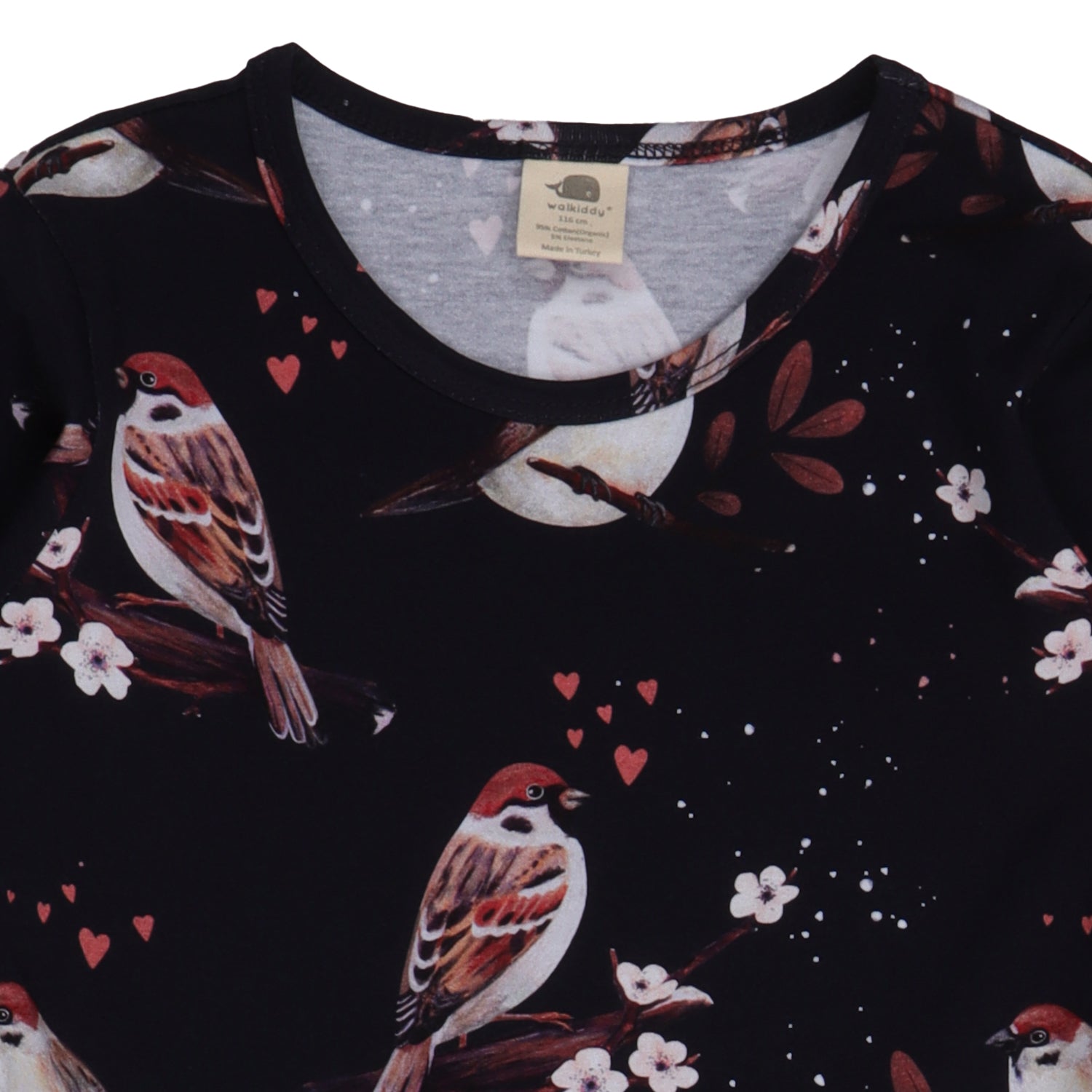 Little Sparrows Dress