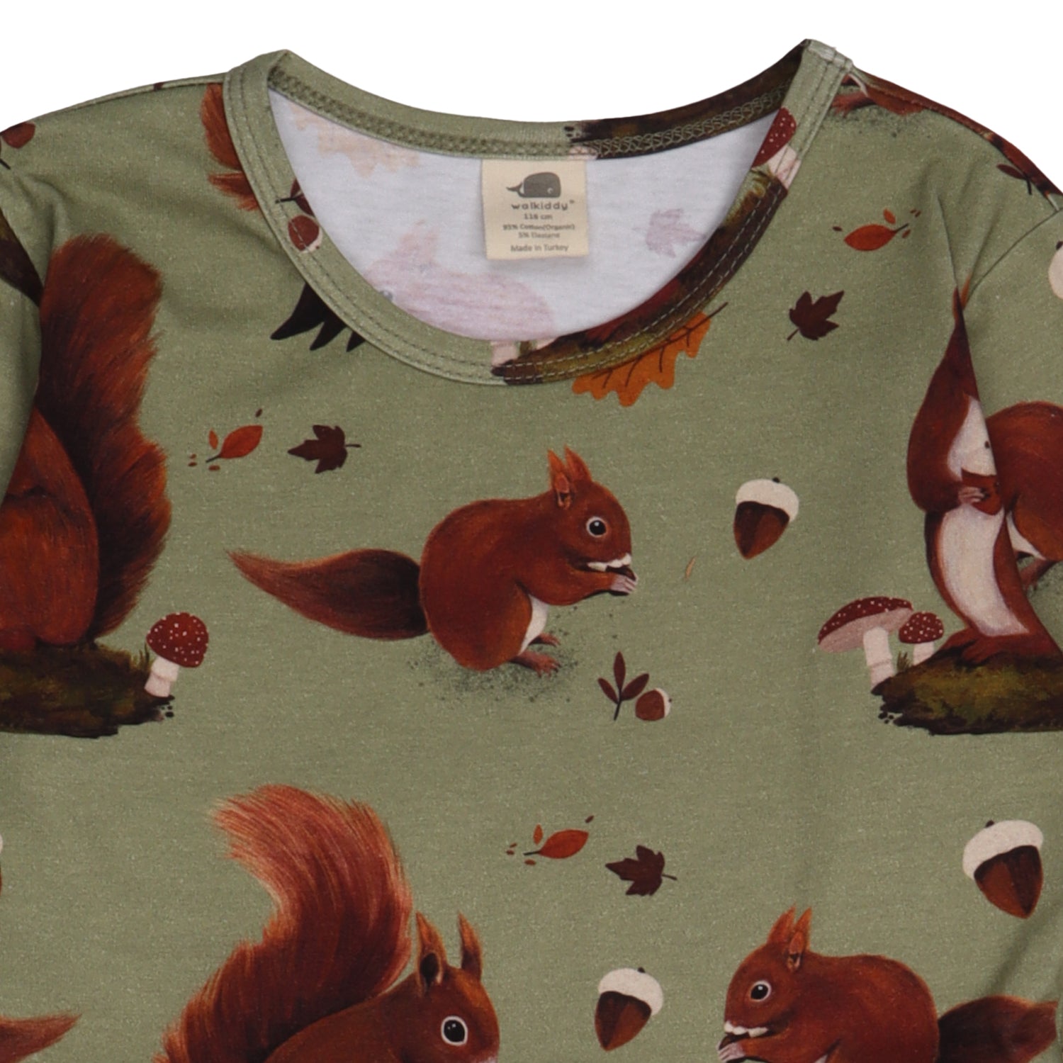 Squirrel Family Dress