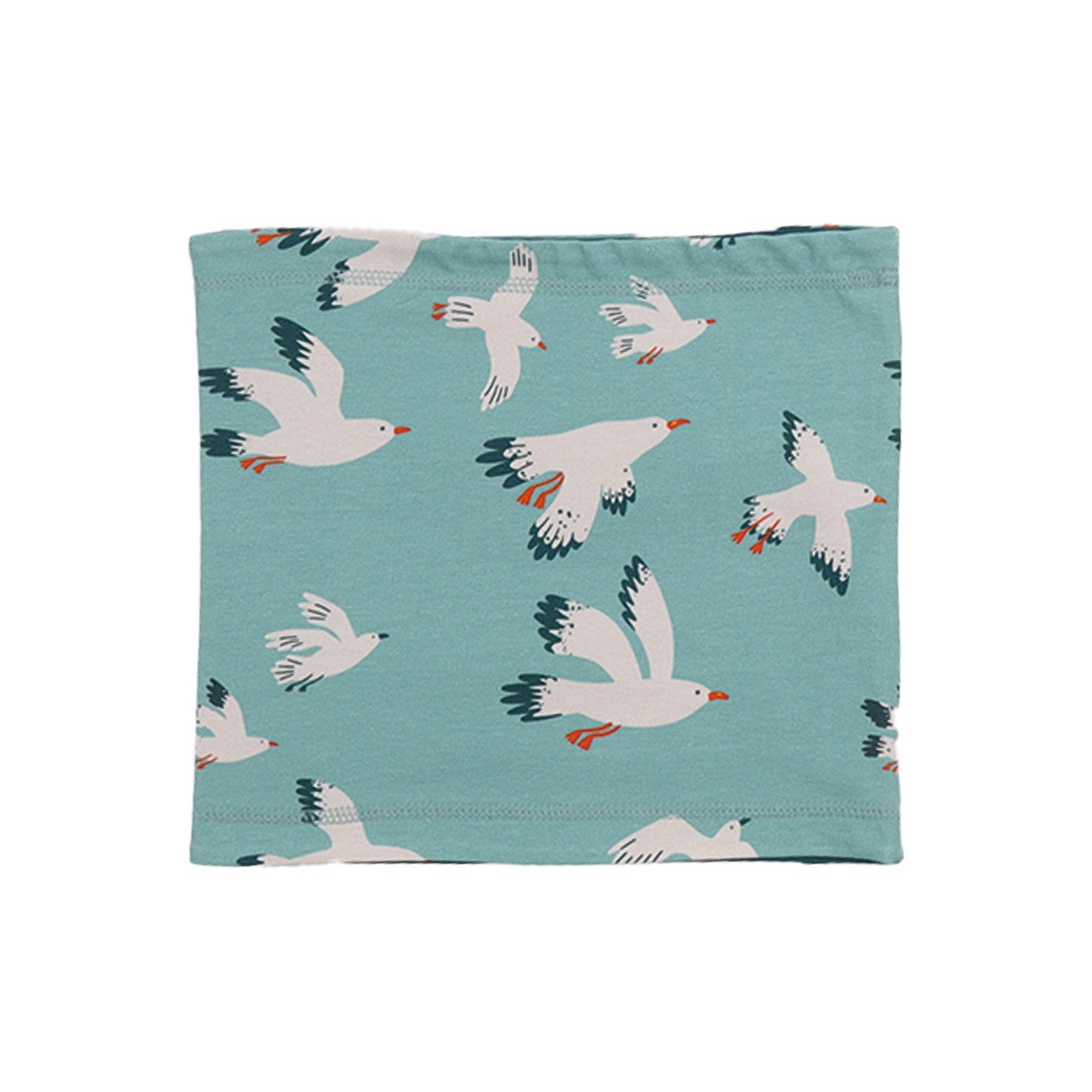 Seagulls-Loop
