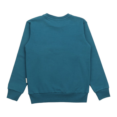 Seagulls-Sweatshirt