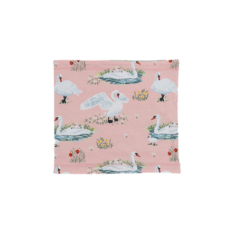 Swans in Spring-Loop