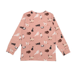 Çeşitli Kediler - Pijama