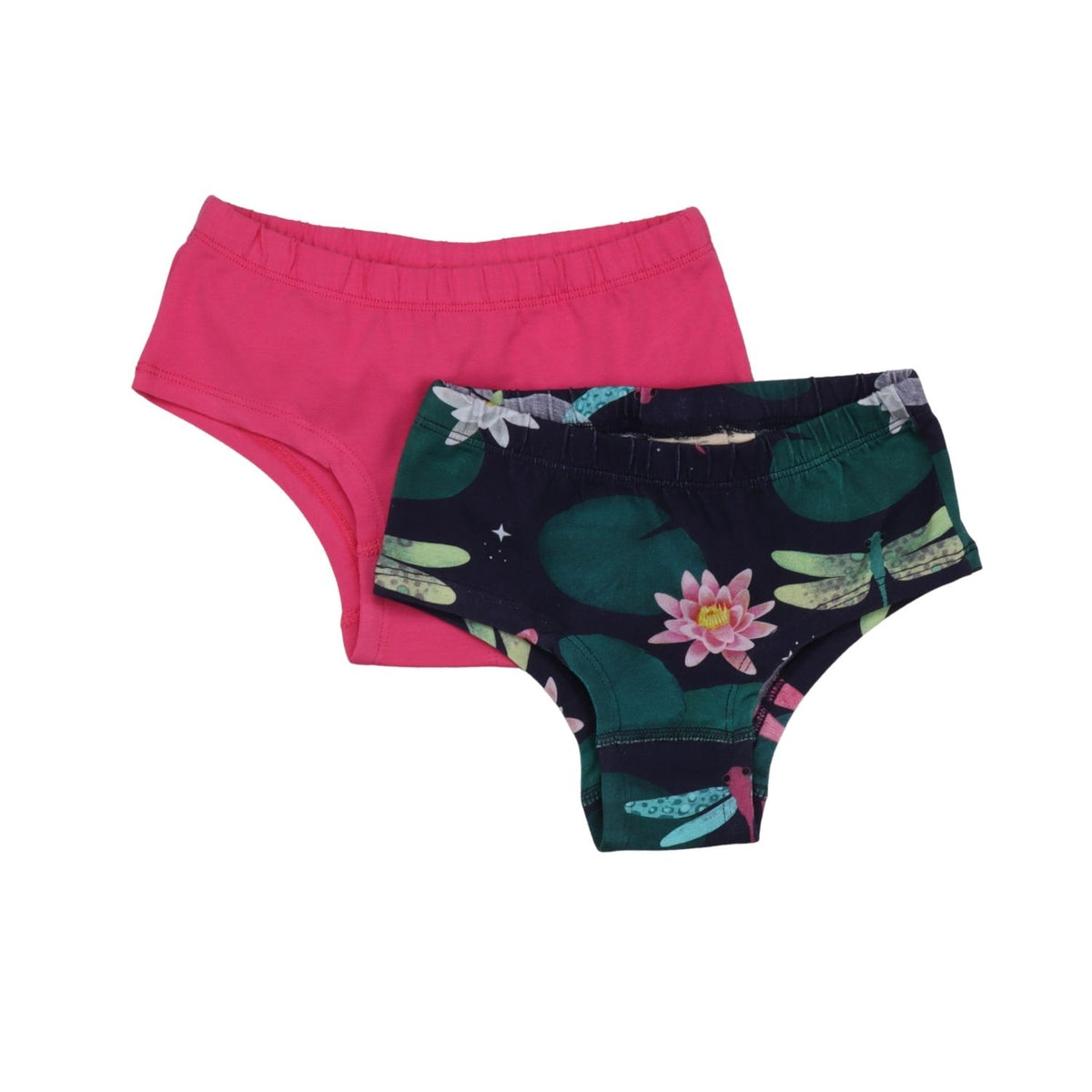 Colorful Dragonflies-Brief