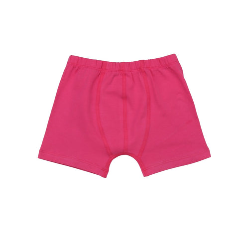 Colorful Dragonflies-Boxer