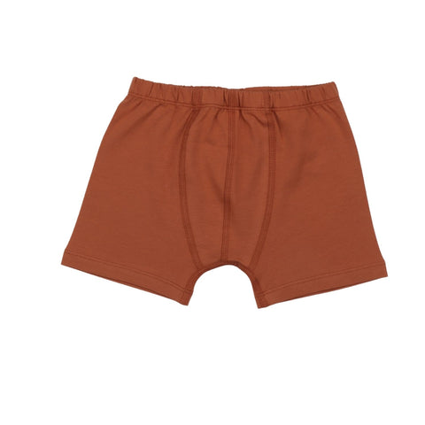 Dinasaur World-Boxer