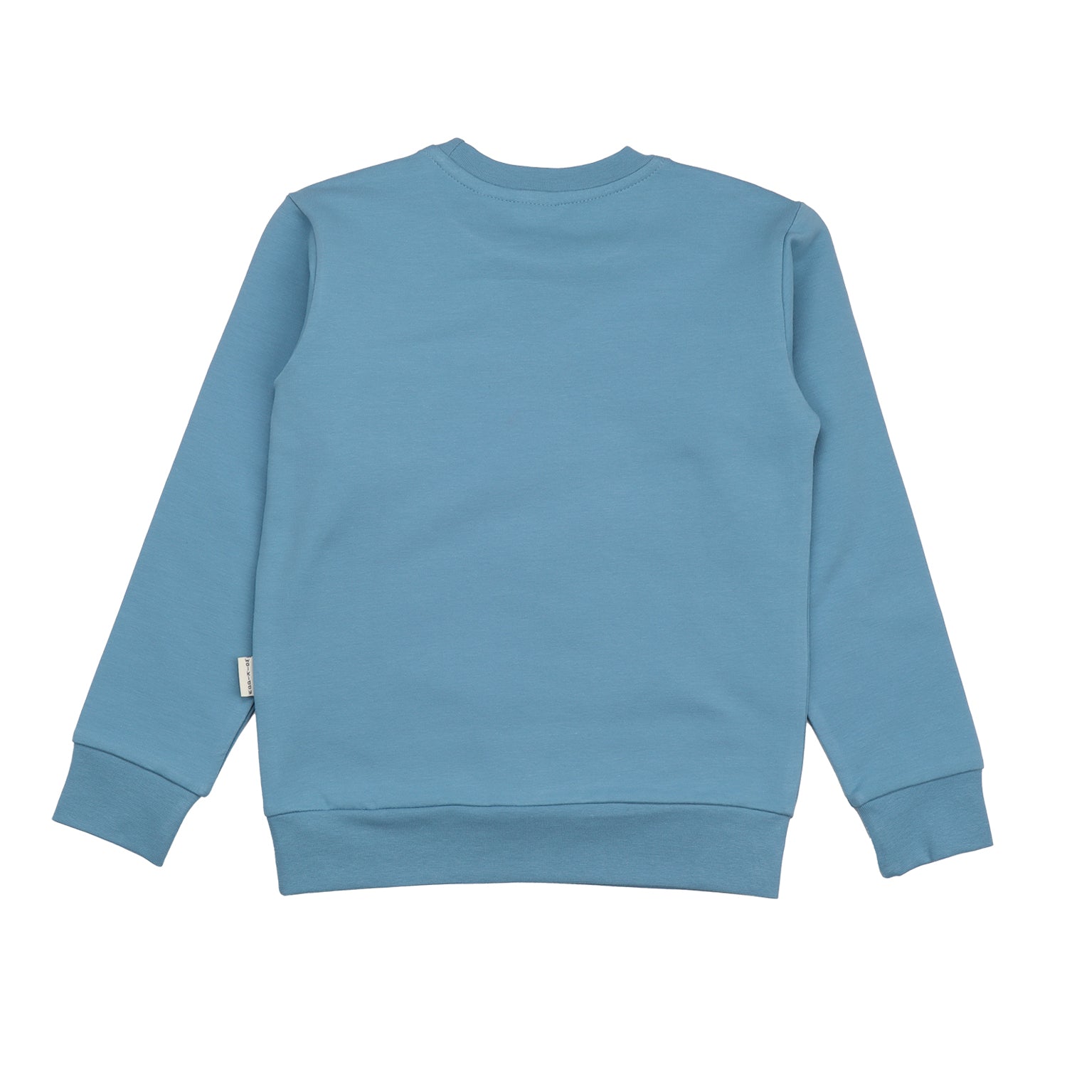 Frozen Land-Sweatshirt