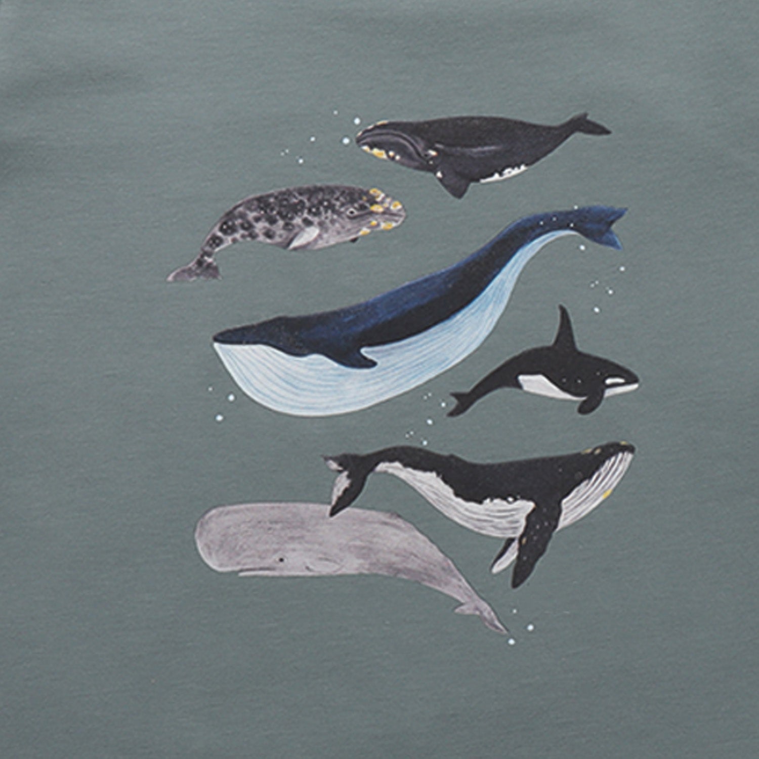 The Great Whales - Shirt