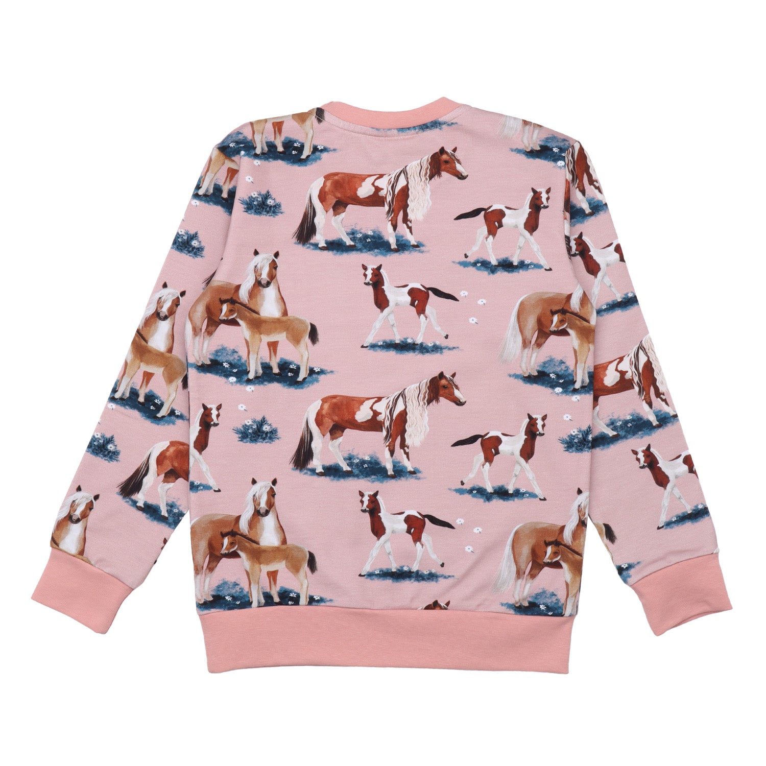 Caballos pequeños y grandes - Sudadera