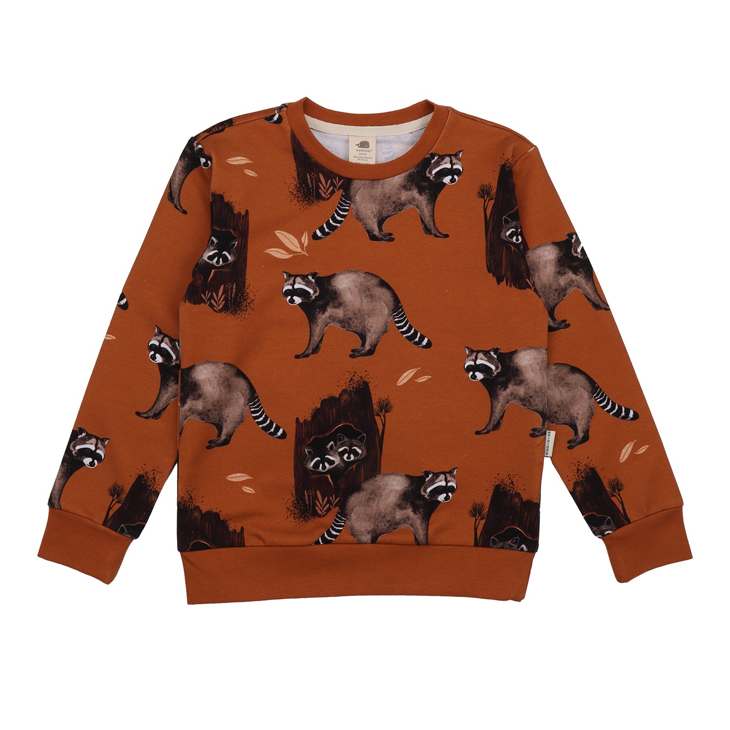 Curious Raccoons-Sweatshirt