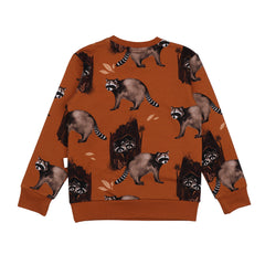 Curious Raccoons-Sweatshirt